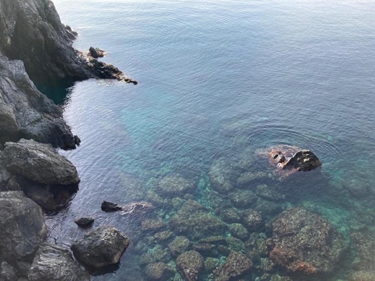 La Gemma Di Monterosso, In Centro Vicino Al Mare Apartment Monterosso al Mare Bagian luar foto
